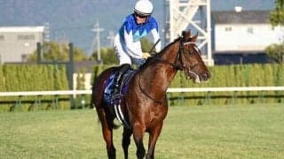 【スワンS予想オッズ】アドマイヤズームが予想1番人気