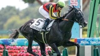 【サウジアラビアRC予想オッズ】ゾロアストロが予想1番人気