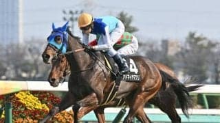 【アイルランドT予想オッズ】アドマイヤマツリが予想1番人気