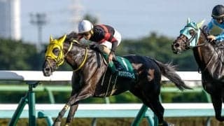 【アイルランドT展望】データから適度な間隔で使われてきた馬に注目