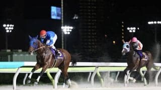 【ジャパンダートクラシック】ナルカミが逃げ切る…ナチュラルライズ三冠ならず