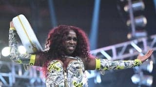 「ぶっ飛んだ演出」人気女子レスラー、おしゃれすぎるパリ発“マタニティショット”が大反響…産休宣言から2か月の姿が話題