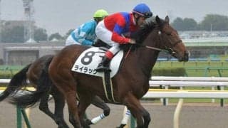 【アイルランドT予想】能力やコース適性は証明済み AIは興味深い一頭を指名