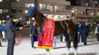 【ジャパンダートクラシック】ナルカミが圧巻の逃げ切りで三冠阻止…売得金・入場ともに前年比ダウン