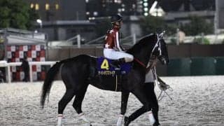 【ジャパンダートクラシック】矢野「これからの馬です」大井のナイトオブファイアは7着