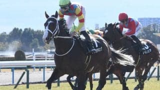 【スワンS展望】データから妙味十分のアサカラキングが狙い目