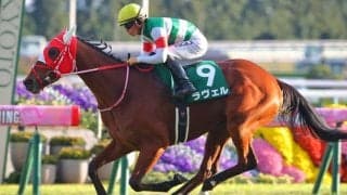 ラヴェルが引退、繁殖入り