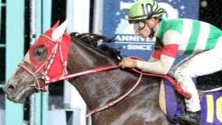 のちにBCディスタフ制す名牝 マルシュロレーヌの初重賞Vから5年