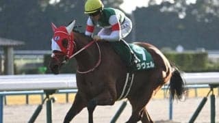 重賞2勝＆24年エリザベス女王杯で2着のラヴェルが登録抹消 ノーザンファームで繁殖馬になる予定
