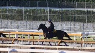 カムニャック、秋華賞1週前追い切り速報/栗東トレセンニュース