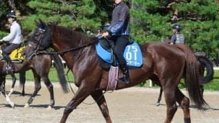 ドンフランキーなど、先週の入厩情報/栗東トレセンニュース