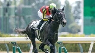 【サウジアラビアRC出走馬・騎手確定】ゾロアストロ＆C.ルメール騎手、アスクエジンバラ＆岩田康誠騎手など8頭