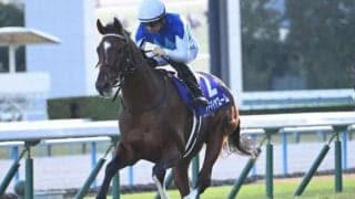 【スワンS出走馬・騎手確定】アドマイヤズーム＆坂井瑠星騎手、ワールズエンド＆戸崎圭太騎手など18頭