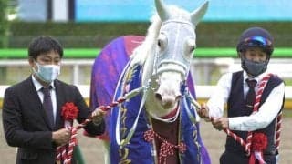 「ウマ娘」藤田晋オーナーの白毛馬 セレクト1.9億円のスーホが初陣だ