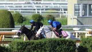 マルガ、アルテミスS2週前追い切り速報/栗東トレセンニュース