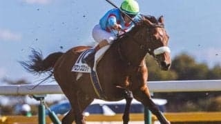 母は名牝アーモンドアイ アロンズロッドが8カ月ぶりの復帰戦だ