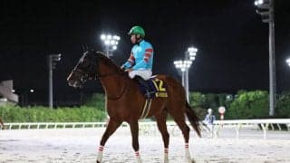 【東京盃】岩田望「まだまだ強くなる」ヤマニンチェルキが交流重賞3連勝