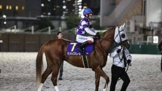 【東京盃】池添謙「一瞬で交わされてしまった」サンライズアムールは3着まで