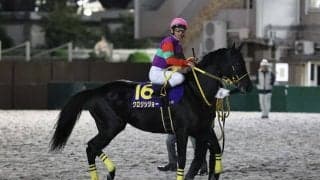 【東京盃】戸崎「最後はいい伸びでした」クロジシジョー重賞4度目の2着