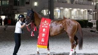 【東京盃】売得金15億超えで前年比93.5％…ヤマニンチェルキがV