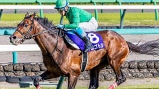 半兄は九州産初のGI馬イロゴトシ イロゴルシが注目のデビュー戦だ