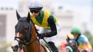 セレクトセールの「セルフハンマー」で話題 タワワが初勝利なるか