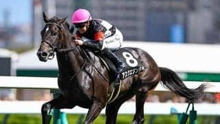 【サウジアラビアRC枠順確定】アスクエジンバラは3枠3番、ゾロアストロは5枠5番