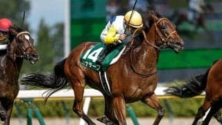 【アイルランドT枠順確定】カナテープは4枠7番、セキトバイーストは6枠11番