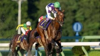 武豊騎手 今週の騎乗馬、盛岡・南部杯に参戦…サンライズジパングとのコンビ