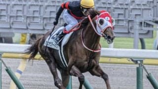 【陣馬特別】果敢に逃げた日本ダービー以来の復帰戦 ホウオウアートマンが自己条件で再出発だ
