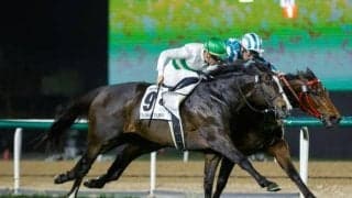 【富士S想定馬・騎手】ソウルラッシュ、ジャンタルマンタルなど14頭