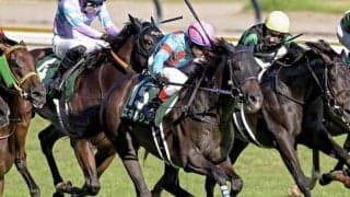 【菊花賞想定馬・騎手】エネルジコ、ショウヘイなど21頭