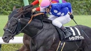 東京ダートは地力勝負 東村山特別は舞台巧者のタイセイアディクトに注目