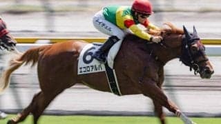 父も母の父も道悪◎ エコロアルバの重賞初制覇だ