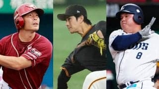 第1次戦力外期間がひと区切り…打点王や元ドラ1に新人王　12球団で計101人、最多はロッテ