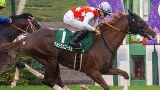 サウジアラビアRCは人気馬が好成績 速い上がりを使える馬に注目
