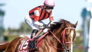 【スワンS枠順確定】ウインマーベルは3枠5番、アドマイヤズームは7枠14番