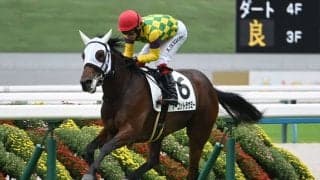 【京都5R新馬戦結果】マーゴットラヴミーがレコードタイムで快勝 リアルスティール産駒