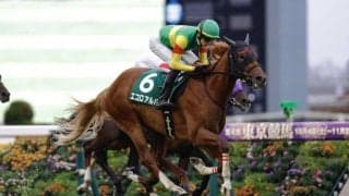 【サウジアラビアRC】エコロアルバがゴボウ抜き！デビュー2連勝で重賞初制覇