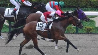 【東京8R】パイシャオピンが人気に応える…谷原柚希のタマモカンパネラは2着