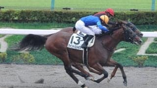 【新馬/東京6R】単勝13番人気セイントエルモズが波乱を演出