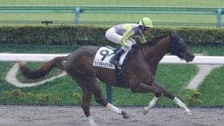 【新馬/東京4R】ウィッキドピケットが6馬身差圧勝