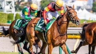 【アイルランドT前日オッズ】セキトバイーストが4.0倍で1番人気