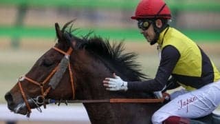 アメリカンファラオが日本軽種馬協会に導入…2026年に静内種馬場で供用予定