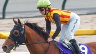 半兄はフェブラリーS覇者のコスタノヴァ ガイストライヒがC.ルメール騎手でデビュー勝ちなるか