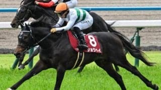 半兄は京都新聞杯覇者のショウヘイ ノンブルドールがデビュー勝ちなるか