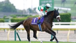 【南部杯見どころ】中央の精鋭と地方の雄が激突…初ダート・シックスペンスも参戦へ