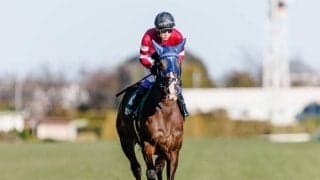 【今日の注目ポイント】東京でエリザベス女王杯の前哨戦アイルランドT