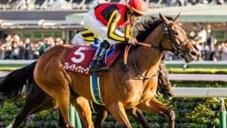 秋の女王決定戦への切符をかけた一戦 アイルランドTは大型馬に要注意