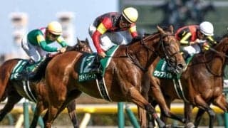 【アイルランドT予想】エリザベス女王杯への最終切符を手にするのは 強豪牝馬が東京に集結